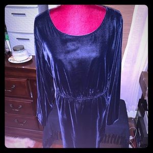 J Crew Plus Size 🆕 Navy Velvet Dress